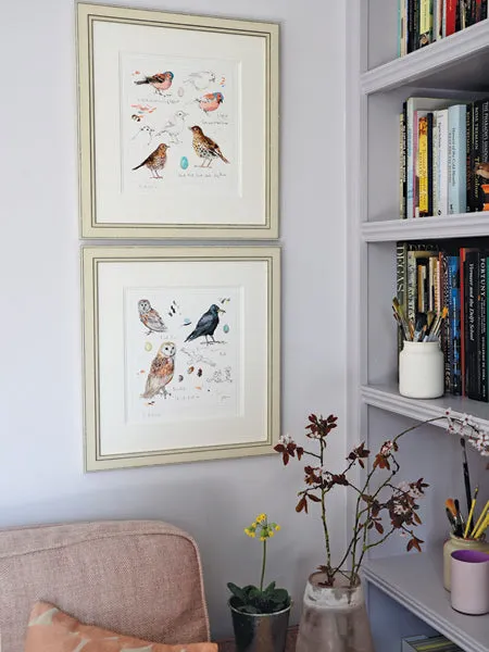 Bullfinch and Collared Dove Sketchbook