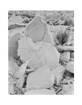 Xavier Ribas | Concrete Geographies [Nomads] Nr 2 (2008/17)